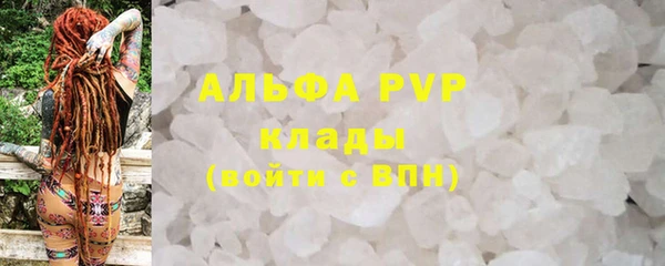 apvp Алексин