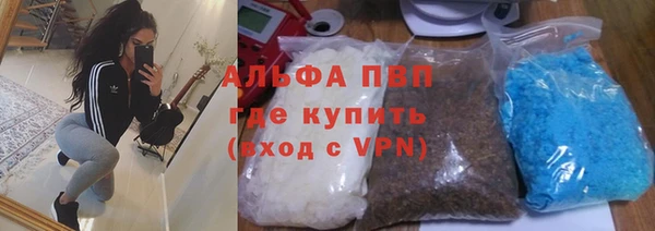 прущие крисы Алзамай